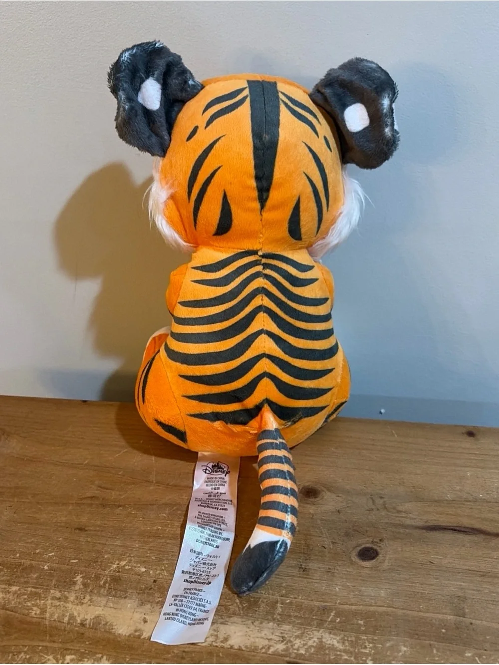 Disney Parks Animal Kingdom Baby Tiger Cub Hoodie Pouch Blanket 10